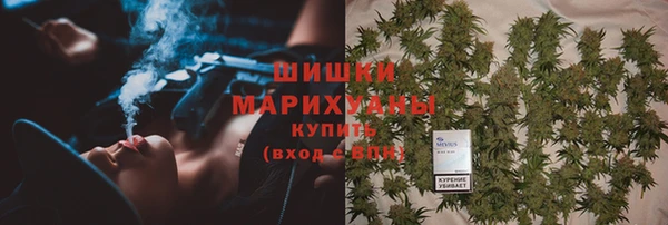 ГАЛЛЮЦИНОГЕННЫЕ ГРИБЫ Медногорск