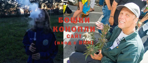ГАЛЛЮЦИНОГЕННЫЕ ГРИБЫ Медногорск