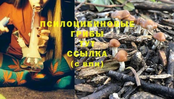 каннабис Мегион
