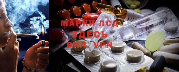 мяу мяу мука Михайловка