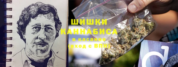 дмт Медвежьегорск