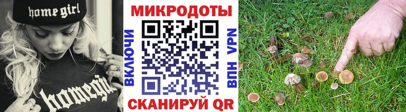 Псилоцибиновые грибы GOLDEN TEACHER  дарнет шоп  Оса 